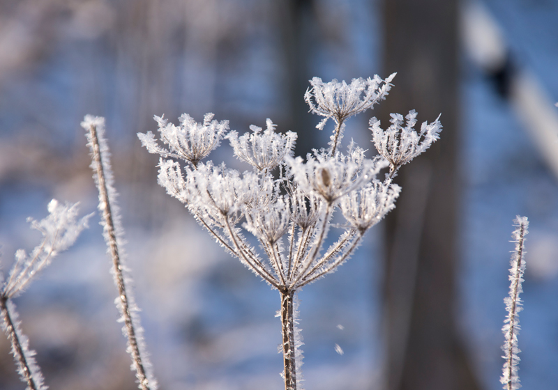 Fotografieren bei Kälte: Die zehn besten Tipps für die winterliche Fototour